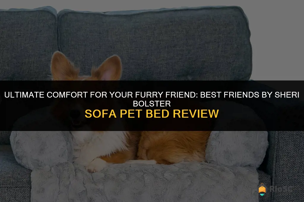 best friends by sheri bolster sofa pet bed