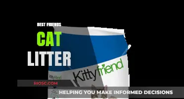 Why Best Friends Cat Litter is the Purr-fect Choice for Your Feline Companion