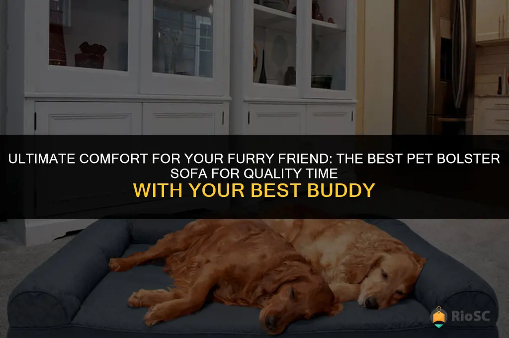 best friends pet bolster sofa