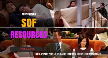 Exploring the Top Sof Resources: A Guide to Enhancing Your Best Friend's Comfort