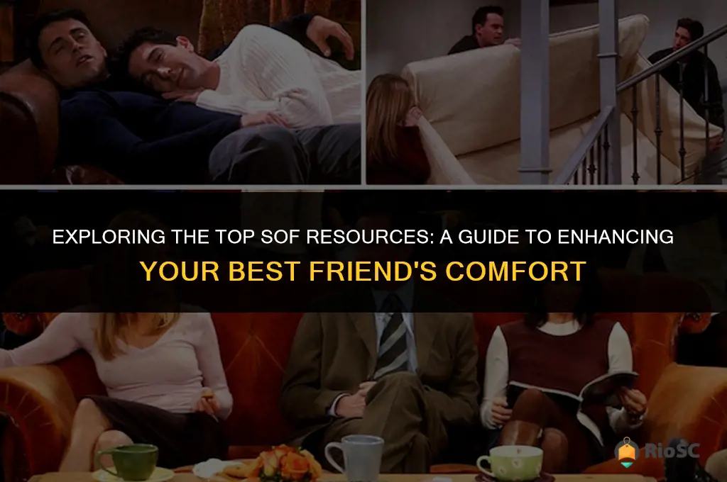 best friends sof resources