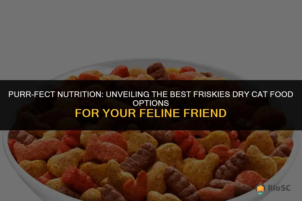 best friskies dry cat food