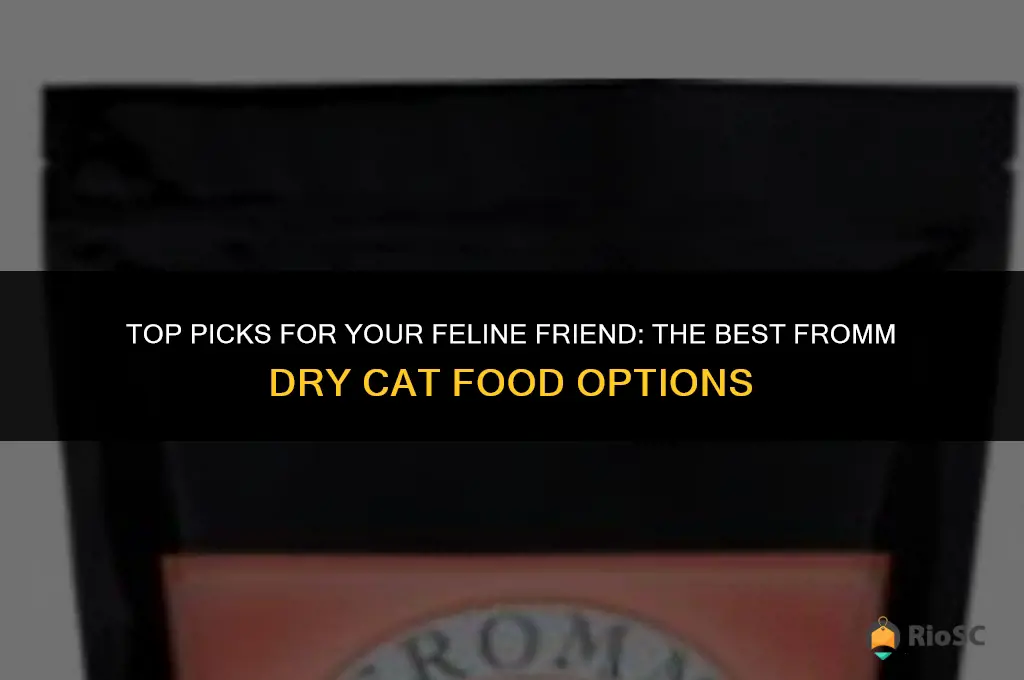 best fromm dry cat food