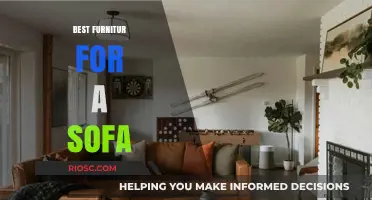 Discover the Perfect Furniture to Complement Your Sofa: A Comprehensive Guide