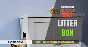 Stylish and Functional: The Best Furniture Cat Litter Boxes to Hide in Plain Sight
