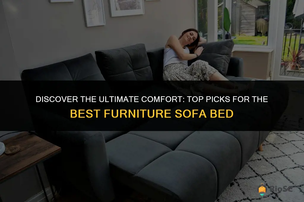 best furniture sofa bed