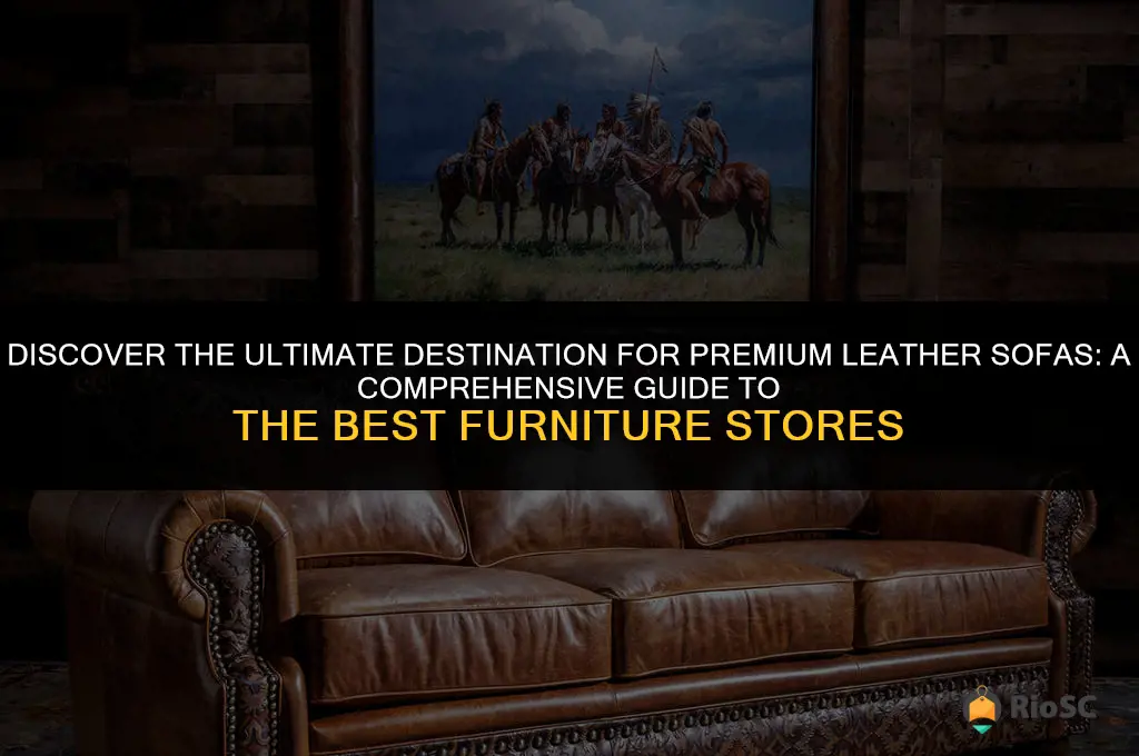 best furniture store for leather sofa