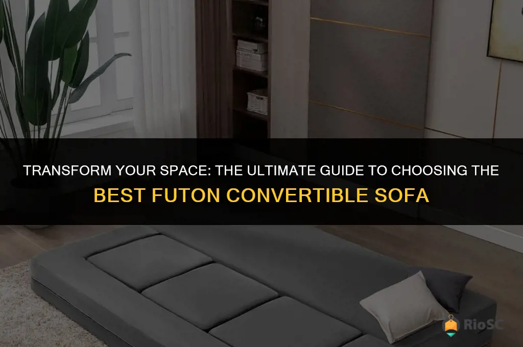 best futon convertible sofa