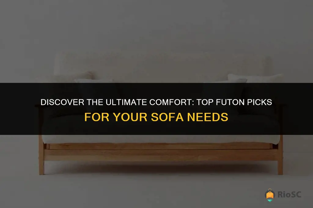 best futon for sofa