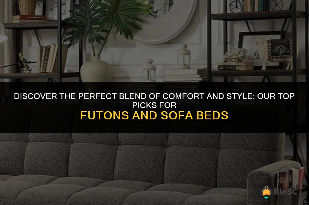 best futon or sofa bed