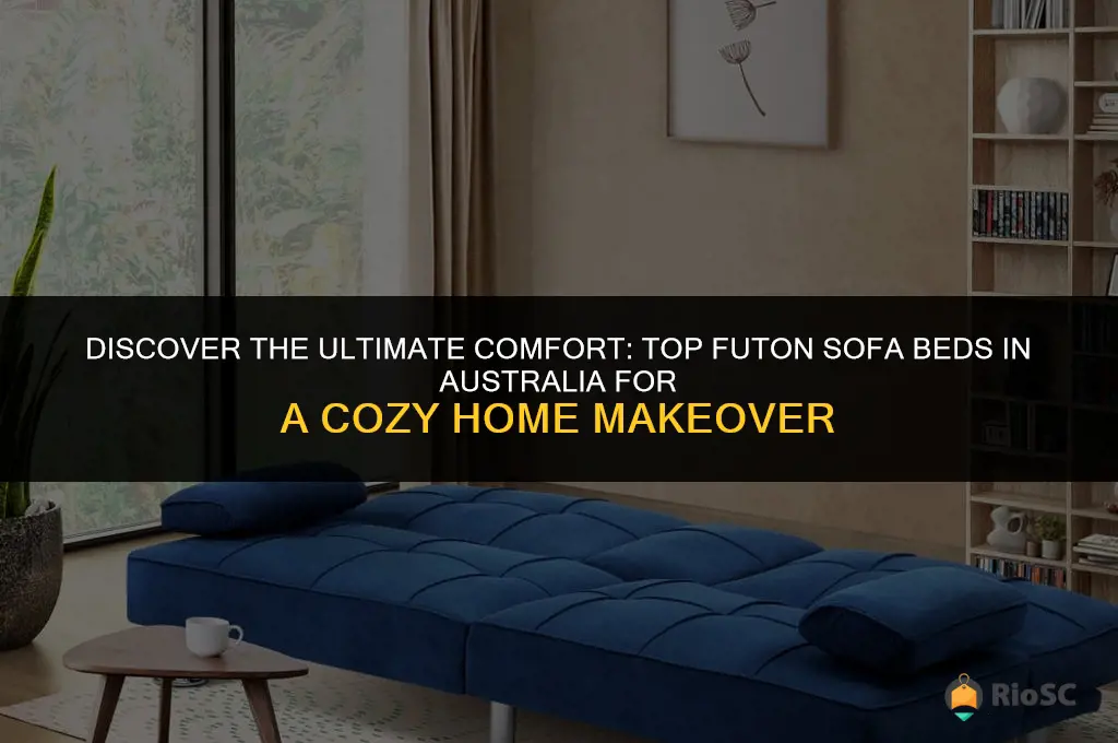 best futon sofa bed australia