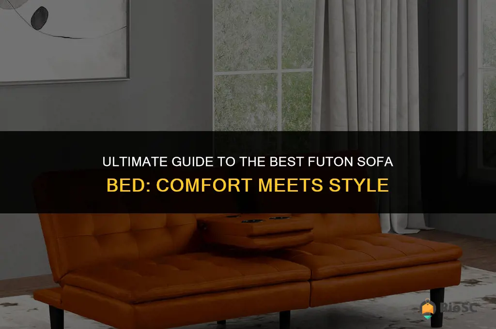 best futon sofa bed review