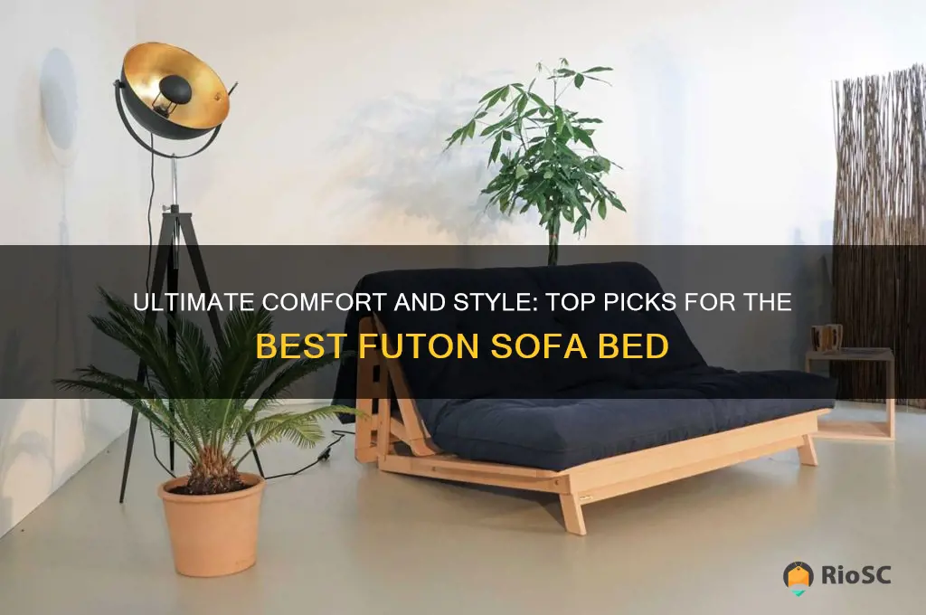 best futon sofa bed