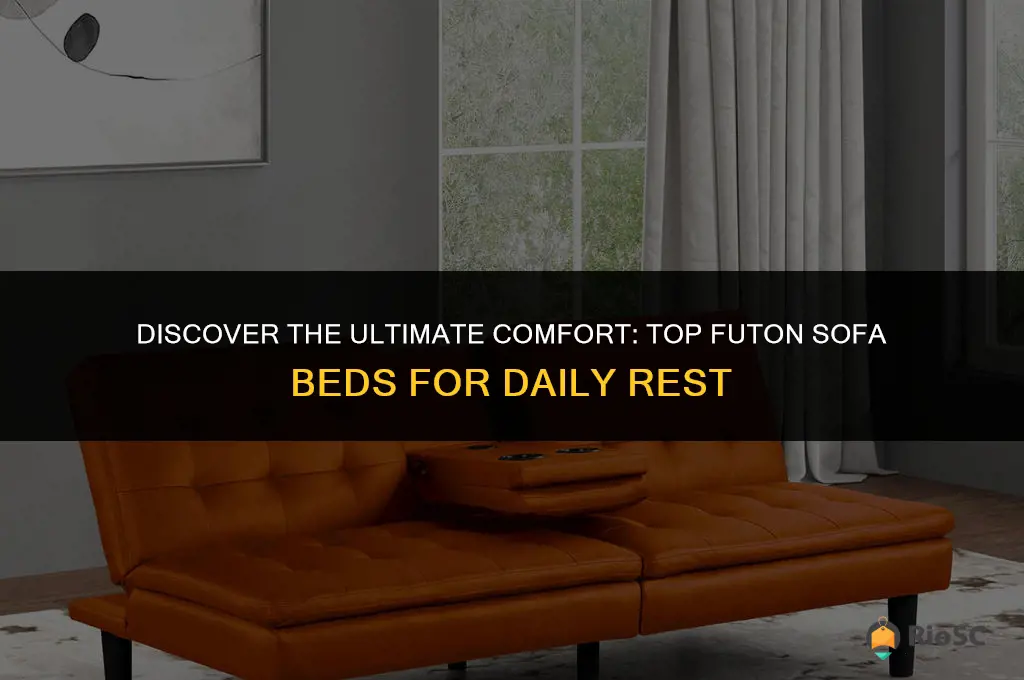 best futon sofa beds for everyday sleeping