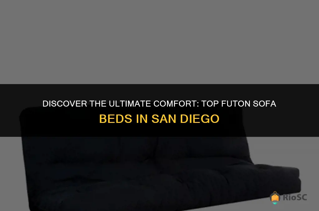 best futon sofa beds san diego