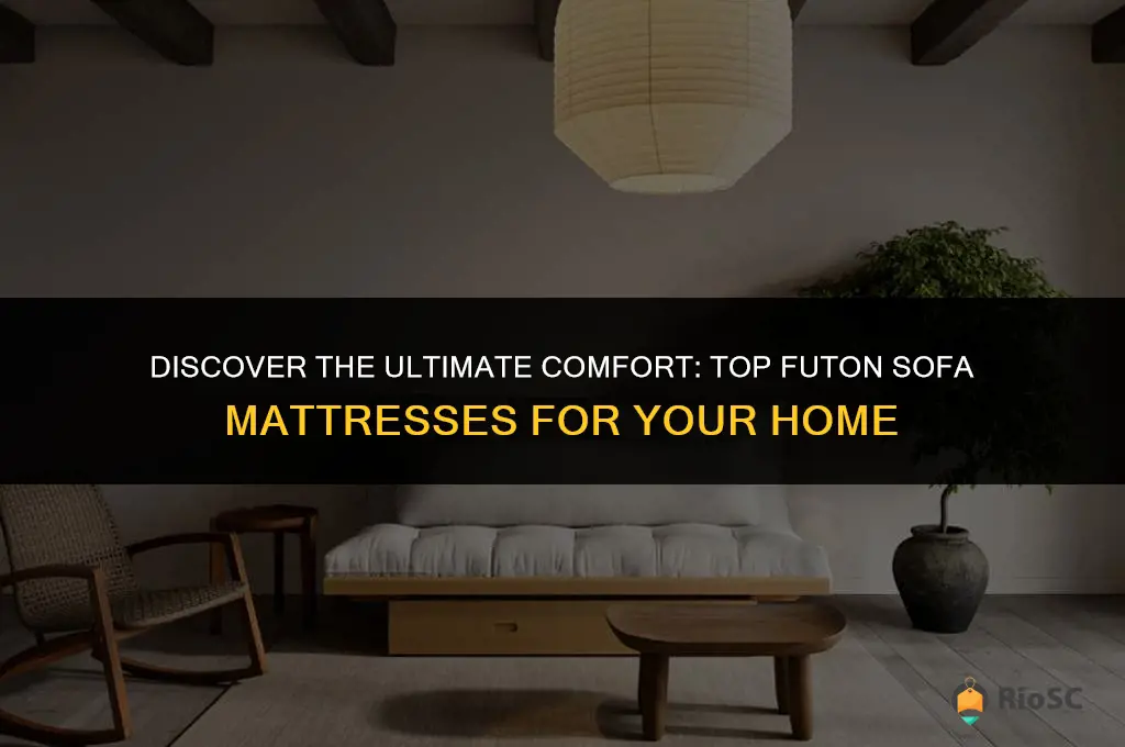 best futon sofa mattress