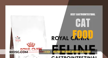 Top Picks for Gastrointestinal Health: The Best Cat Food Options