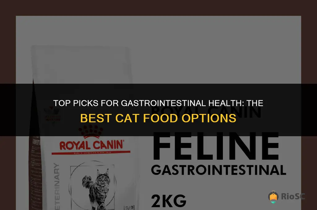 best gastrointestinal cat food