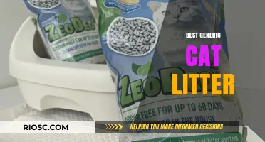 Top Picks for the Best Generic Cat Litter: Affordable and Effective Options for Your Feline Friend