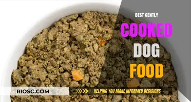 Nourish Your Pup Naturally: Top Gently Cooked Dog Food Options for Optimal Health