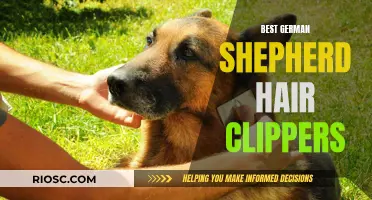 Top Clippers for German Shepherd Grooming