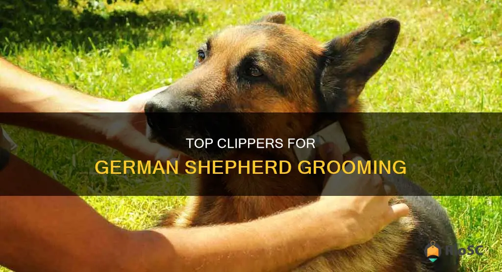 best german shepherd hair clippers