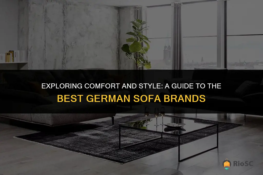 best german sofa brands