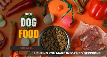 Top Grain-Inclusive Dog Food Options for Optimal Canine Health and Nutrition