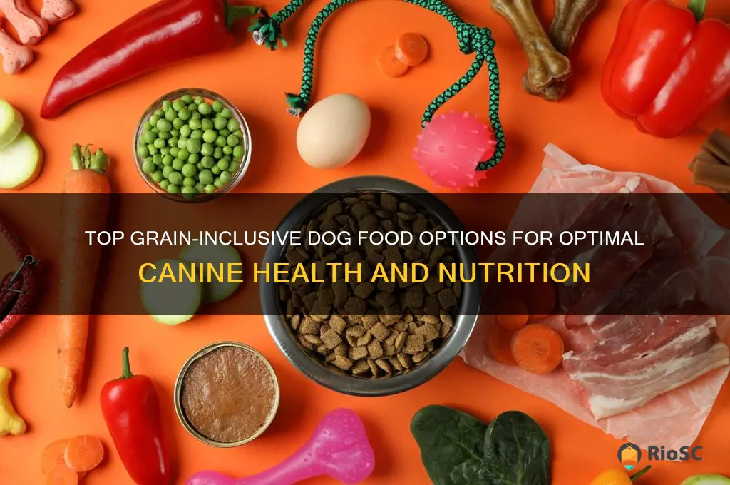 best gi dog food