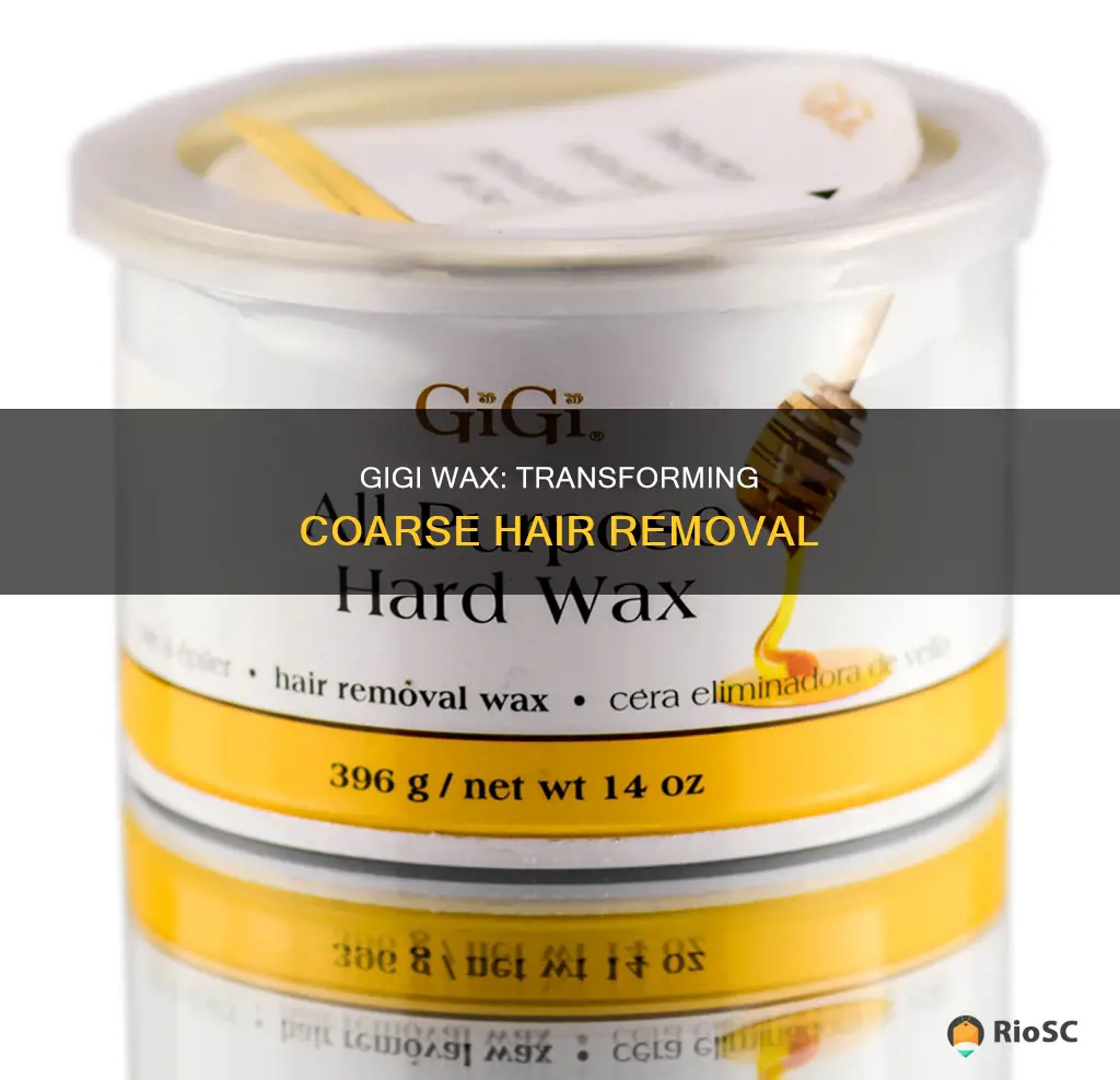 best gigi wax for coarse hair