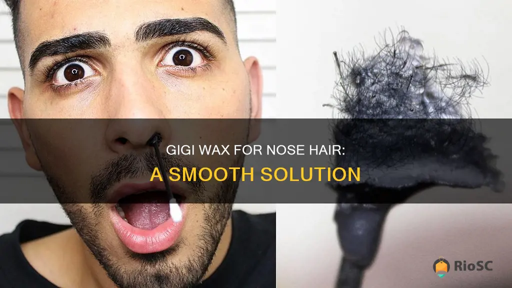 best gigi wax for nose hair