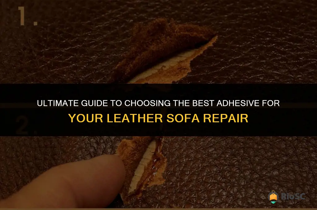 best glue for leather sofa
