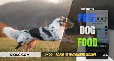 Top Gluten-Free Dog Food Options for a Healthy and Happy Canine Companion