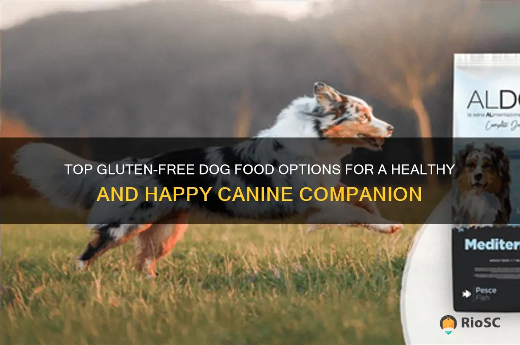 best gluten free dog food