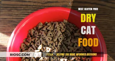 Top Picks for Gluten-Free Dry Cat Food: A Comprehensive Guide for Pet Owners