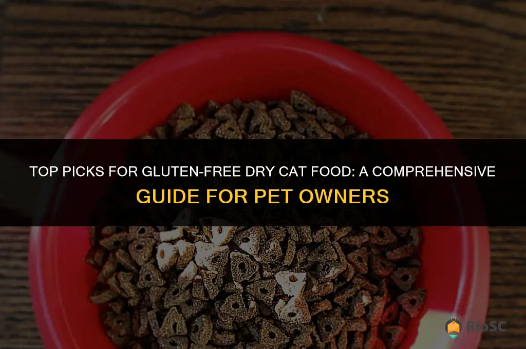 best gluten free dry cat food