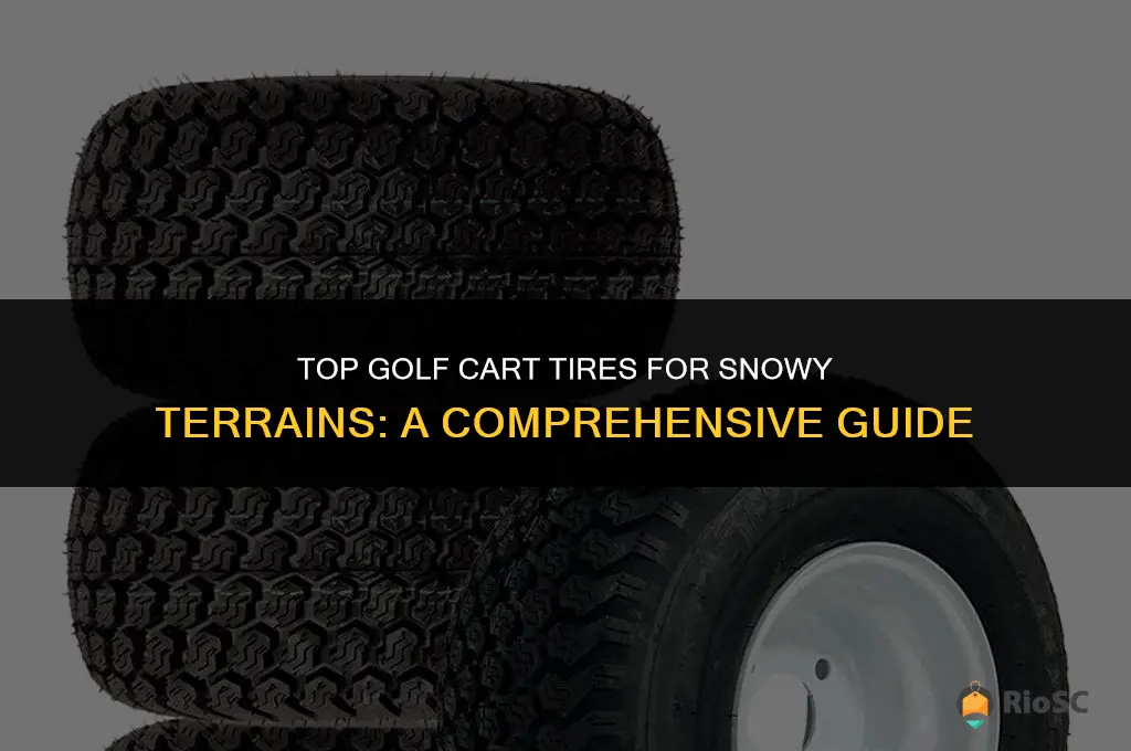 best golf cart tires for snow