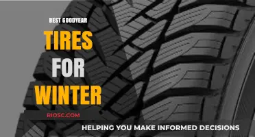 Top Goodyear Winter Tires: Stay Safe and Warm on the Road