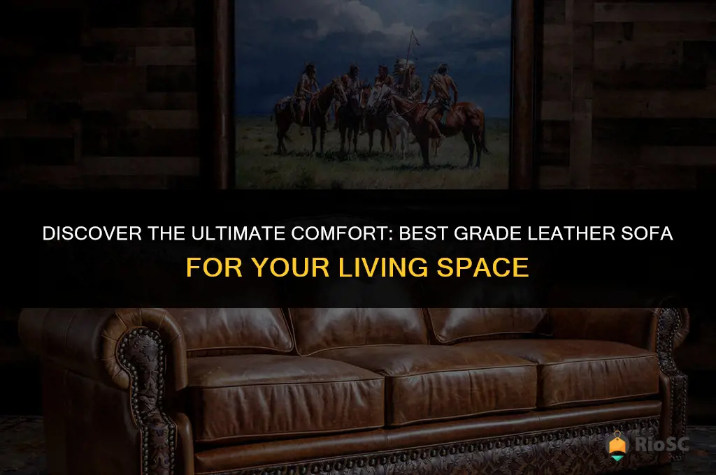 best grade leather sofa