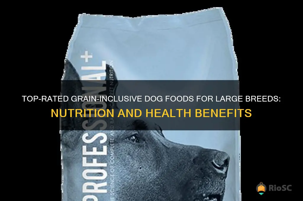 best grain dog food for large breeds