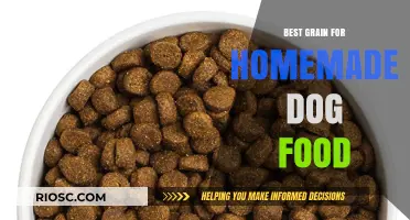 Nutritious and Delicious: Choosing the Best Grain for Homemade Dog Food