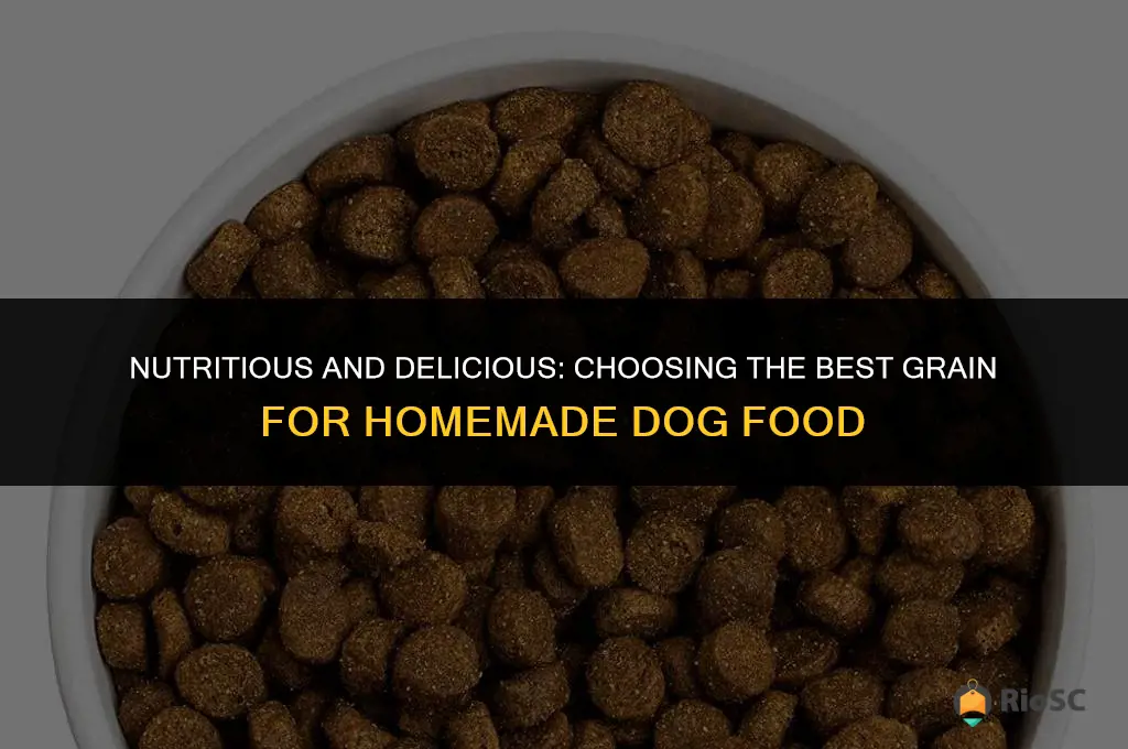 best grain for homemade dog food