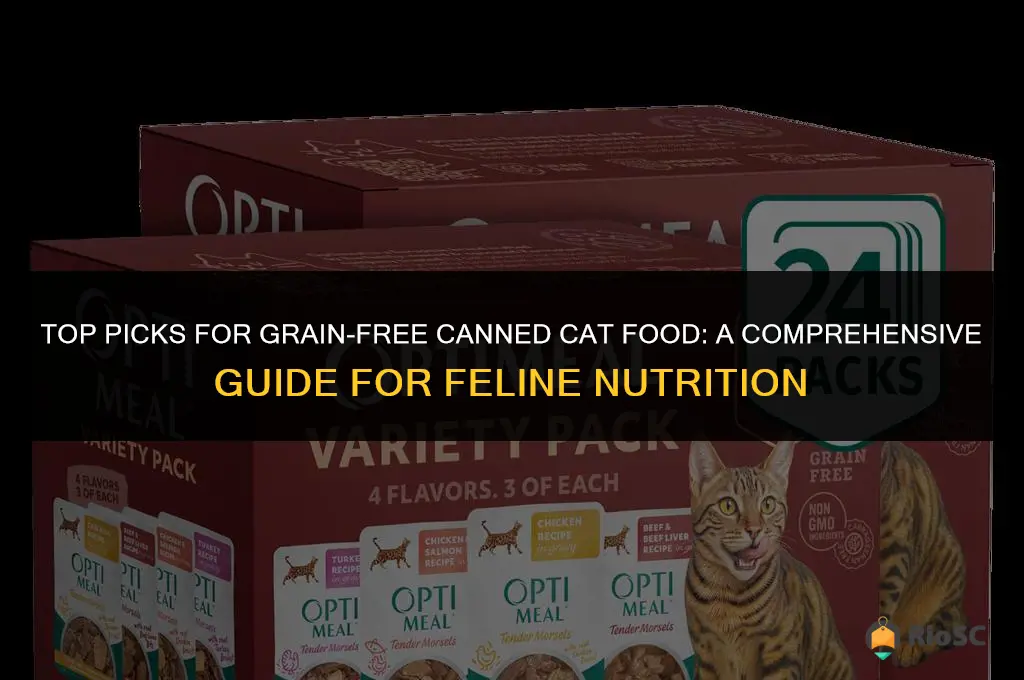 best grain free canned cat food