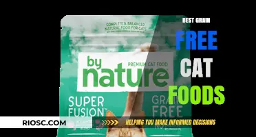 Top Picks for Grain-Free Cat Foods: A Comprehensive Guide to Healthy Feline Nutrition