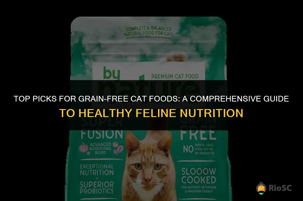 best grain free cat foods