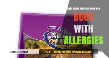 Top Grain-Free Dog Food Options to Soothe Allergies and Promote Healthy Living
