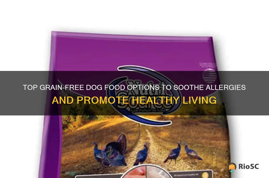 best grain free dog food for dogs with allergies