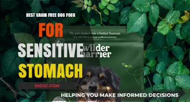 Soothing Solutions: Top Grain-Free Dog Foods for Sensitive Stomachs