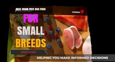 Top Grain-Free Dog Food Options for Small Breeds: Nutrition and Health Benefits