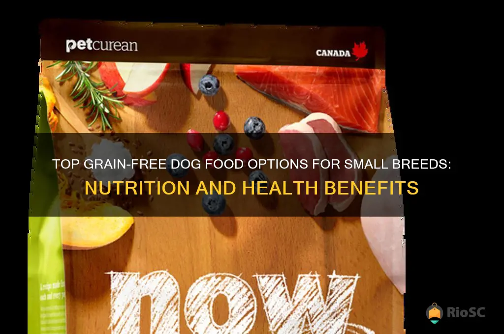 best grain free dog food for small breeds